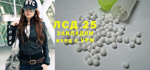 ПСИЛОЦИБИНОВЫЕ ГРИБЫ Алзамай