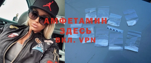 гидра Абаза