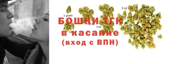 ПСИЛОЦИБИНОВЫЕ ГРИБЫ Алзамай