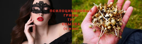 трава Алексин
