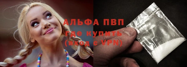 индика Медногорск