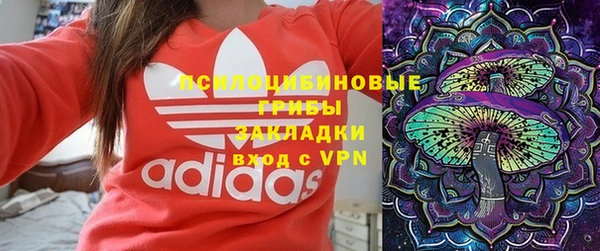 гидра Абаза