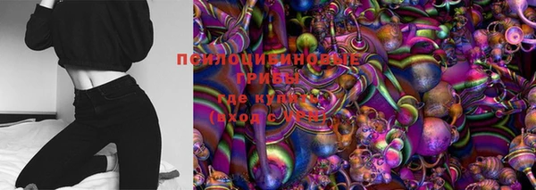 ПСИЛОЦИБИНОВЫЕ ГРИБЫ Алзамай