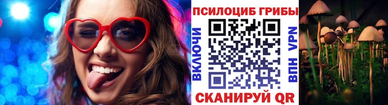 купить   mega ссылка  Псилоцибиновые грибы мицелий  Череповец 