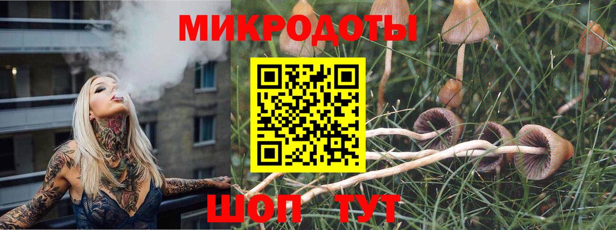 Псилоцибиновые грибы Psilocybe Череповец